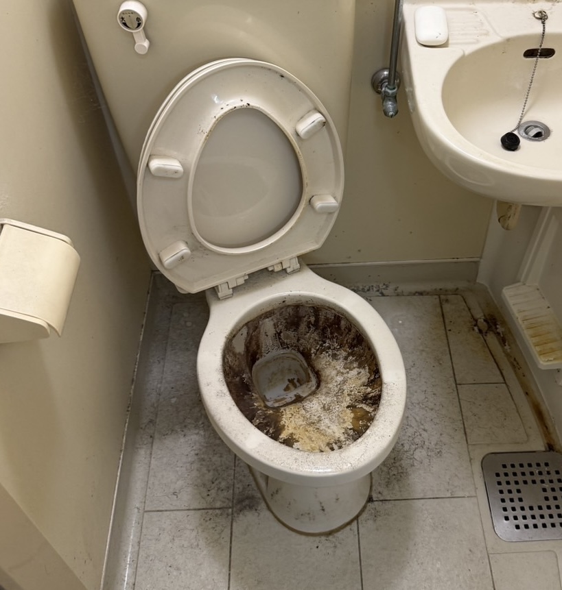 市川市トイレクリーニング