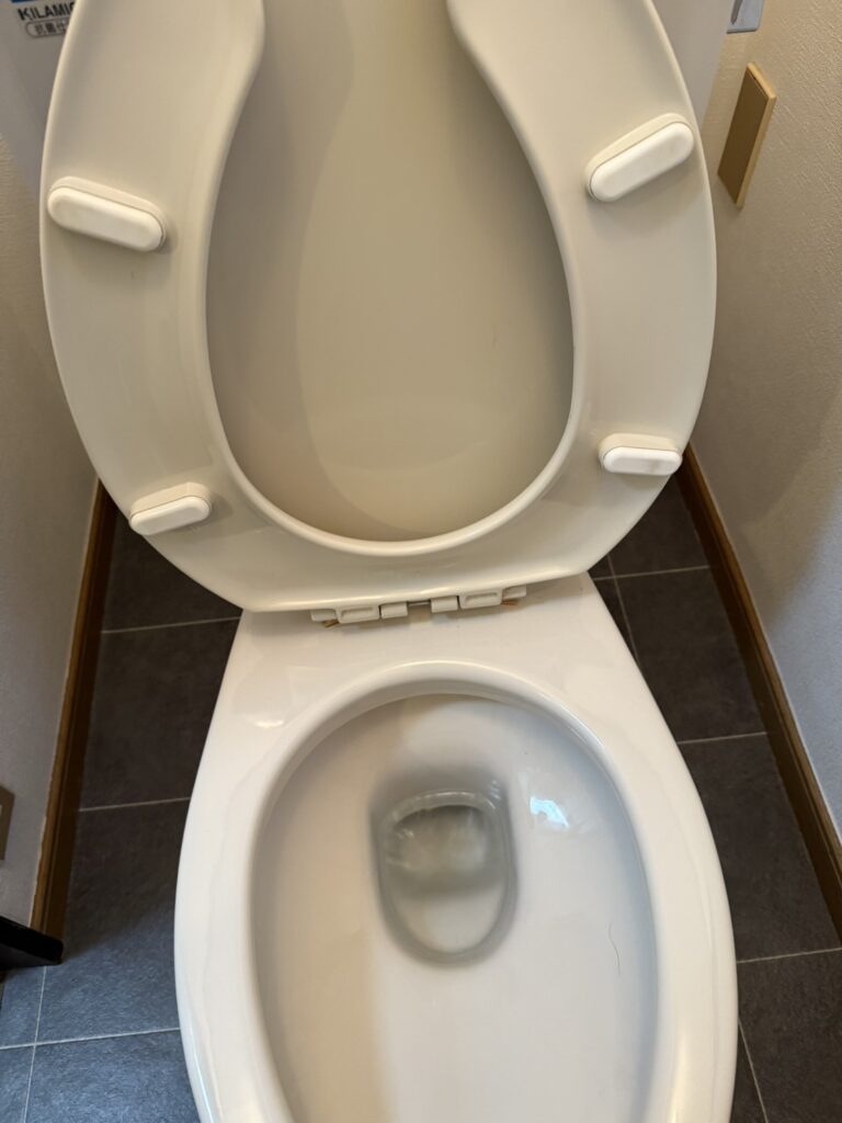 市川市トイレクリーニング（お掃除）