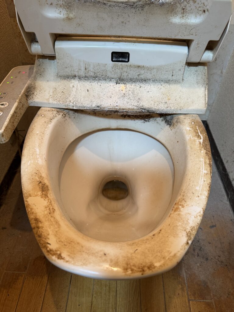 市川市トイレクリーニング（お掃除）