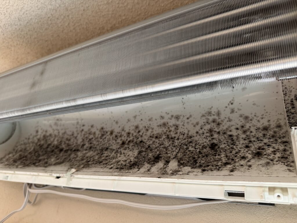 市川市エアコンクリーニング完全分解洗浄業者